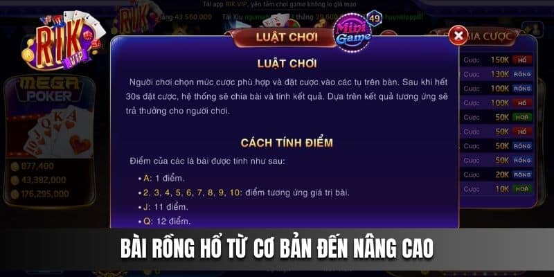 Bài Rồng Hổ từ cơ bản đến nâng cao