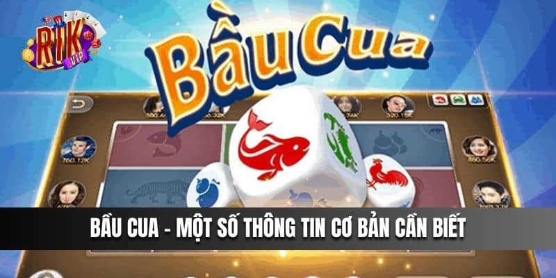 Bầu Cua - Một số thông tin cơ bản cần biết