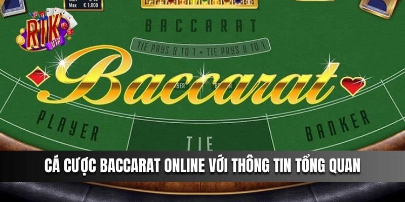 Cá cược Baccarat online với thông tin tổng quan