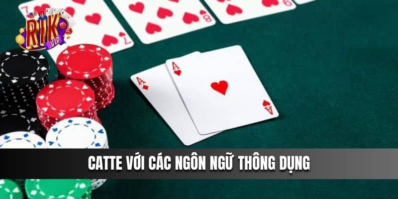 Các thuật ngữ thông dụng trong bài Catte