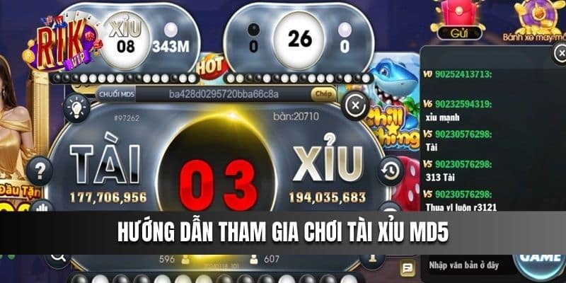 Hướng dẫn tham gia chơi Tài Xỉu MD5