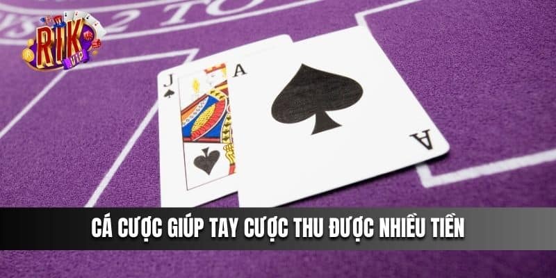 Cá cược giúp tay cược thu được nhiều tiền